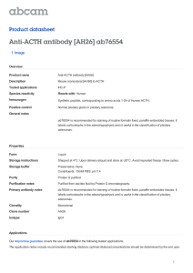 Anti-ACTH antibody [AH26] ab76554 Product datasheet 1 Image Overview