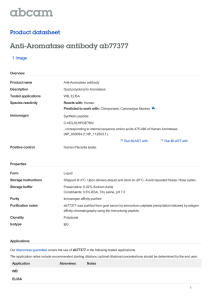 Anti-Aromatase antibody ab77377 Product datasheet 1 Image