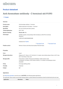Anti-Aromatase antibody - C-terminal ab191093 Product datasheet 2 Images Overview
