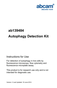 ab139484 Autophagy Detection Kit Instructions for Use