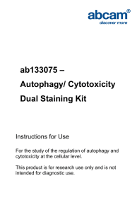 ab133075 – Autophagy/ Cytotoxicity Dual Staining Kit Instructions for Use