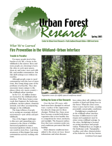 Research Urban Forest Fire Prevention in the Wildland-Urban Interface What We’ve Learned