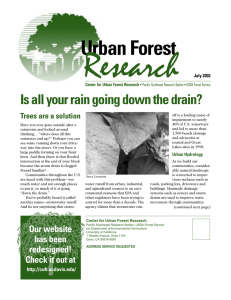 Research Urban Forest Is all your rain going down the drain?