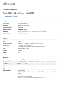 Anti-CYP21A2 antibody ab64887 Product datasheet 1 References 1 Image