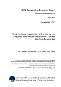 ICES Cooperative Research Report The intentional introduction of the marine red