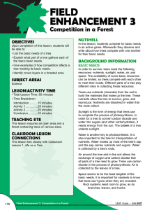 3 FIELD ENHANCEMENT Competition in a Forest