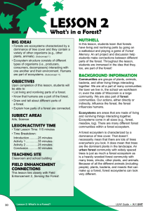 2 LESSON What’s in a Forest? NUTSHELL