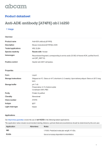 Anti-ADK antibody [AT4F8] ab116250 Product datasheet 1 Image Overview