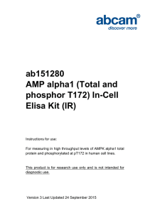 ab151280 AMP alpha1 (Total and phosphor T172) In-Cell Elisa Kit (IR)