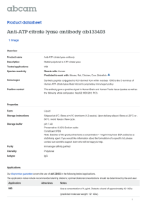 Anti-ATP citrate lyase antibody ab133403 Product datasheet 1 Image