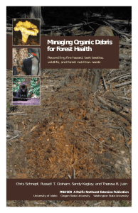 Managing Organic Debris for Forest Health Reconciling fire hazard, bark beetles,