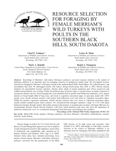 RESOURCE SELECTION FOR FORAGING BY FEMALE MERRIAM’S WILD TURKEYS WITH