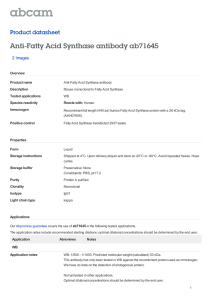 Anti-Fatty Acid Synthase antibody ab71645 Product datasheet 2 Images Overview