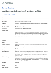 Anti-Superoxide Dismutase 1 antibody ab8866 Product datasheet 3 References 1 Image