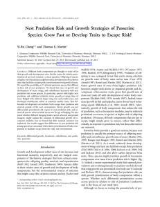 Nest Predation Risk and Growth Strategies of Passerine