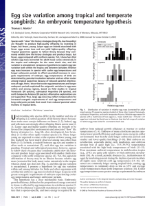 Egg size variation among tropical and temperate Thomas E. Martin*