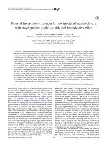 Parental investment strategies in two species of nuthatch vary