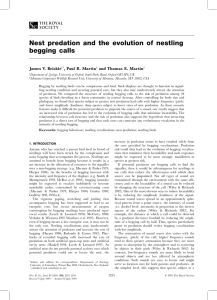 Nest predation and the evolution of nestling begging calls James V. Briskie