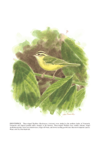 FRONTISPIECE. Three-striped Warblers (