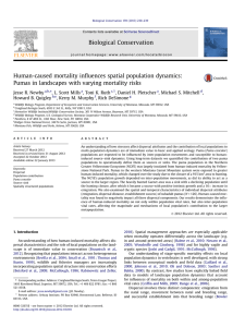 Human-caused mortality inﬂuences spatial population dynamics: