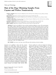 Hair of the Dog: Obtaining Samples From Coyotes and Wolves Noninvasively