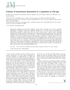 Estimate of herpetofauna depredation by a population of wild pigs J