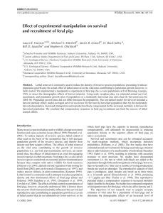 Effect of experimental manipulation on survival and recruitment of feral pigs