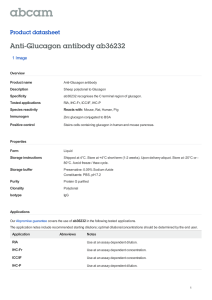 Anti-Glucagon antibody ab36232 Product datasheet 1 Image Overview