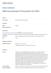 GSK3 beta (phospho Y216) peptide ab110532 Product datasheet Overview Product name