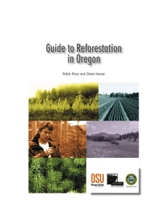Guide to Reforestation in Oregon Robin Rose and Diane Haase