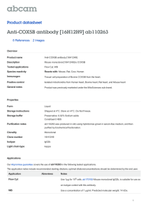 Anti-COX5B antibody [16H12H9] ab110263 Product datasheet 8 References 2 Images