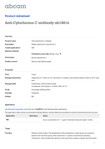 Anti-Cytochrome C antibody ab18816 Product datasheet