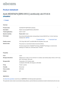 Anti-NDUFAF4 [EPR15931] antibody ab191414 Product datasheet 4 Images Overview
