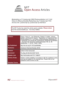 Modulation of Y [subscript 356] Photooxidation in E. Coli