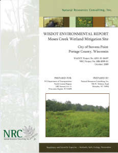 WISDOT ENVIRONMENTAL REPORT Moses Creek Wetland Mitigation Site City of Stevens Point