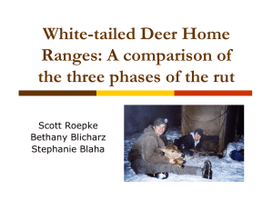White-tailed Deer Home Ranges: A comparison of Scott Roepke