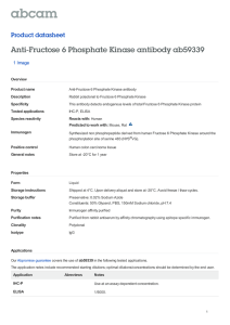 Anti-Fructose 6 Phosphate Kinase antibody ab59339 Product datasheet 1 Image Overview