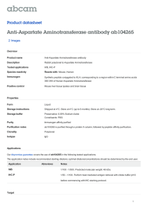 Anti-Aspartate Aminotransferase antibody ab104265 Product datasheet 2 Images Overview