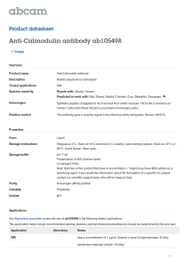 Anti-Calmodulin antibody ab105498 Product datasheet 1 Image