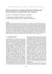 Bed form dynamics in relation to headwater discharge and