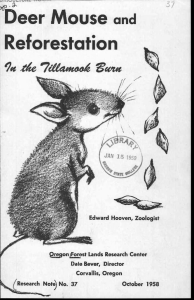 Reforestation Deer Mouse and October 1958