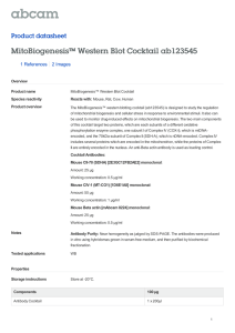 MitoBiogenesis™ Western Blot Cocktail ab123545 Product datasheet 1 References 2 Images