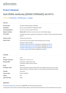 Anti-SDHA antibody [2E3GC12FB2AE2] ab14715 Product datasheet 25 Abreviews 6 Images