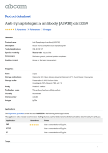 Anti-Synaptotagmin antibody [ASV30] ab13259 Product datasheet 1 Abreviews 3 Images