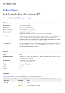 Anti-Syntaxin 1a antibody ab41453 Product datasheet 6 Abreviews 5 Images