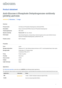 Anti-Glucose 6 Phosphate Dehydrogenase antibody [AT2F6] ab91034