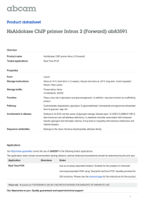 HsAldolase ChIP primer Intron 2 (Forward) ab83591 Product datasheet Overview Product name