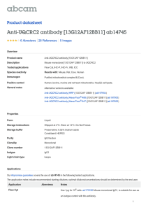 Anti-UQCRC2 antibody [13G12AF12BB11] ab14745 Product datasheet 6 Abreviews 5 Images
