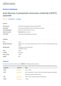 Anti-Glucose 6 phosphate isomerase antibody [1B7D7]