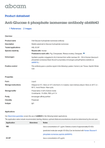 Anti-Glucose 6 phosphate isomerase antibody ab68643